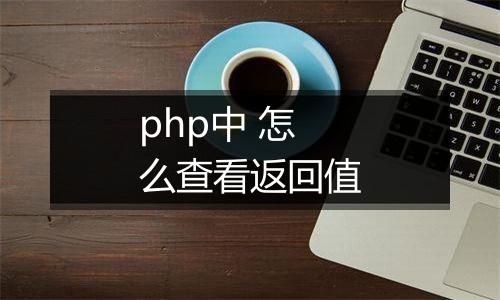 php中 怎么查看返回值
