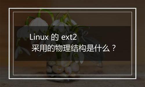 Linux 的 ext2 采用的物理结构是什么?