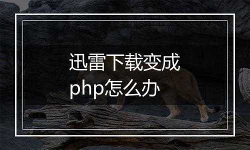 迅雷下载变成php怎么办