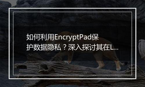 如何利用EncryptPad保护数据隐私?深入探讨其在Linux平台上的应用。