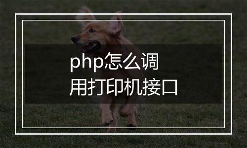 php怎么调用打印机接口