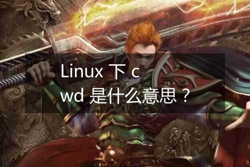 Linux 下 cwd 是什么意思?