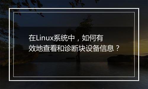 在Linux系统中,如何有效地查看和诊断块设备信息?