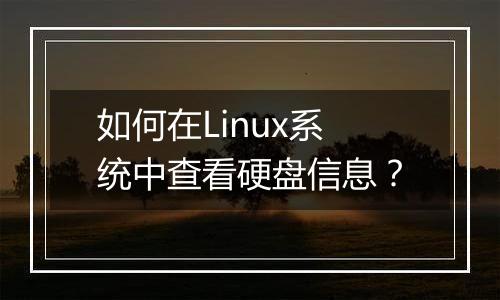 如何在Linux系统中查看硬盘信息？
