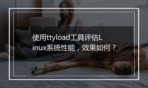 使用ttyload工具评估Linux系统性能,效果如何?