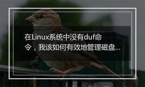 在Linux系统中没有duf命令，我该如何有效地管理磁盘空间？