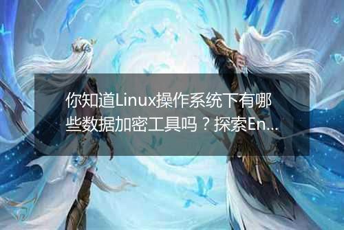 你知道Linux操作系统下有哪些数据加密工具吗？探索EncryptPad的功能。