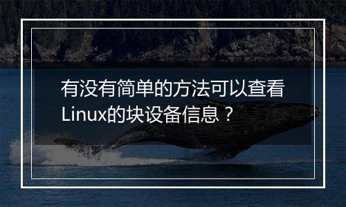 有没有简单的方法可以查看Linux的块设备信息?