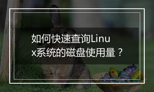 如何快速查询Linux系统的磁盘使用量？