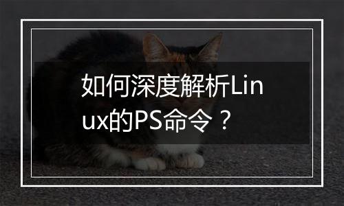 如何深度解析Linux的PS命令？