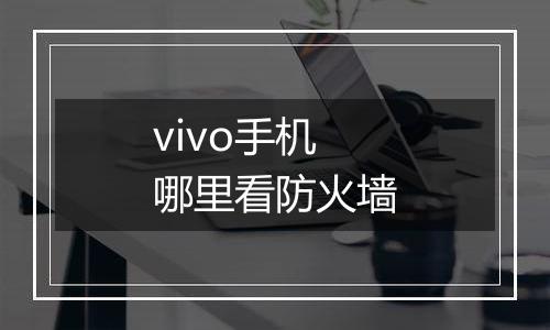 vivo手机哪里看防火墙