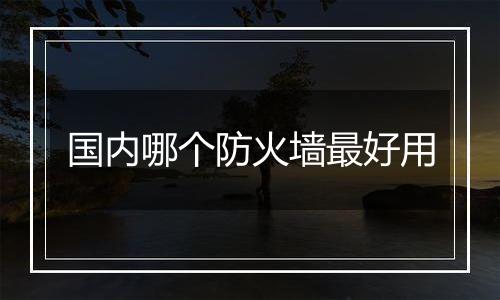 国内哪个防火墙最好用