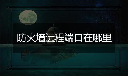 防火墙远程端口在哪里