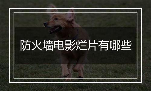 防火墙电影烂片有哪些