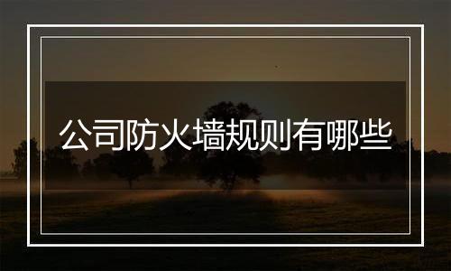 公司防火墙规则有哪些