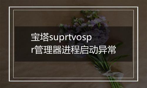 宝塔suprtvospr管理器进程启动异常