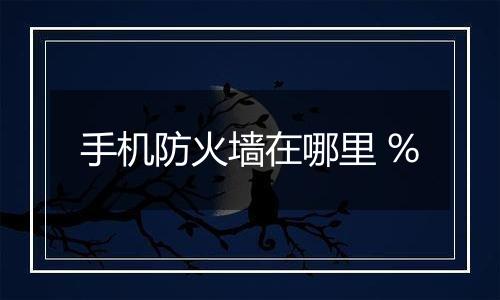 手机防火墙在哪里 %