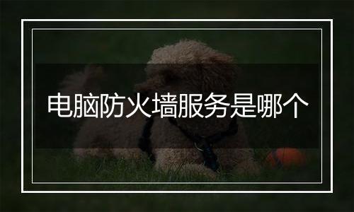 电脑防火墙服务是哪个