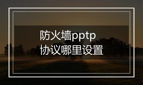 防火墙pptp协议哪里设置