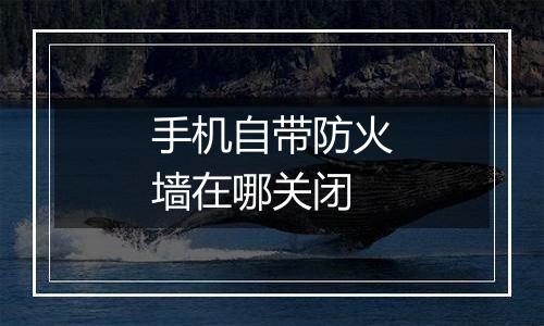 手机自带防火墙在哪关闭