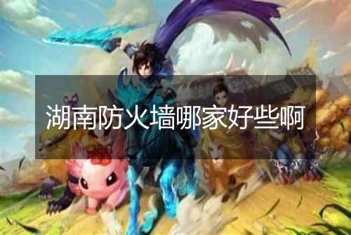 湖南防火墙哪家好些啊