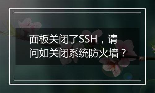 面板关闭了SSH，请问如关闭系统防火墙？