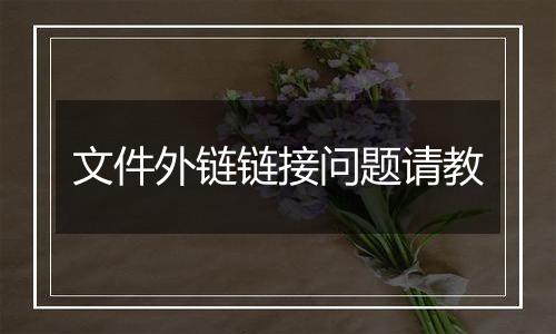文件外链链接问题请教