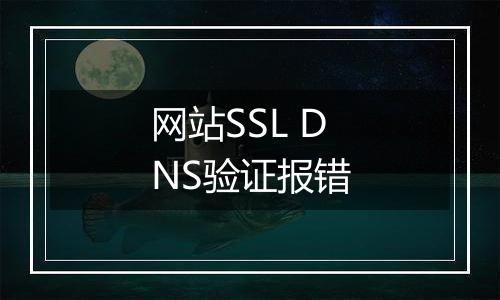 网站SSL DNS验证报错