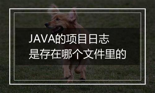 JAVA的项目日志是存在哪个文件里的