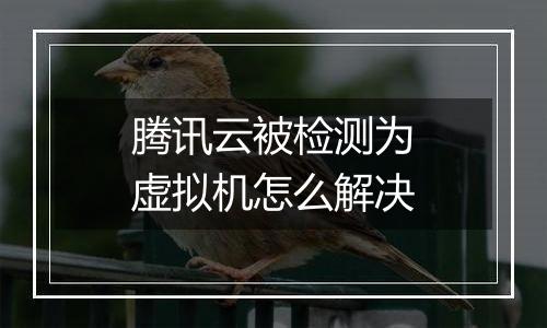 腾讯云被检测为虚拟机怎么解决