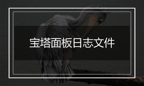 宝塔面板日志文件