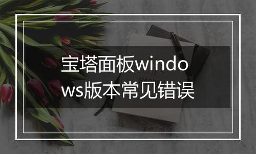 宝塔面板windows版本常见错误