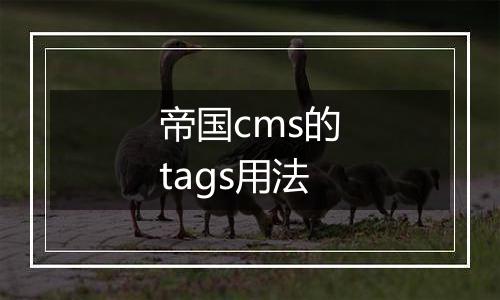 帝国cms的tags用法