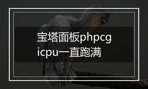 宝塔面板phpcgicpu一直跑满