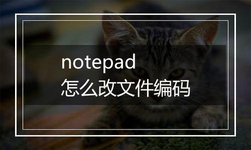 notepad怎么改文件编码