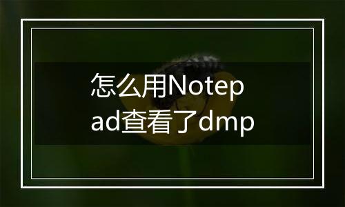 怎么用Notepad查看了dmp