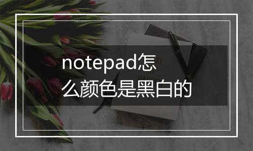 notepad怎么颜色是黑白的