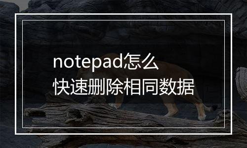 notepad怎么快速删除相同数据