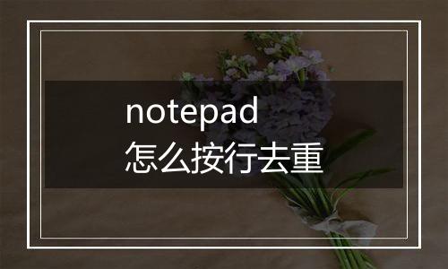 notepad怎么按行去重