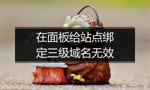 在面板给站点绑定三级域名无效