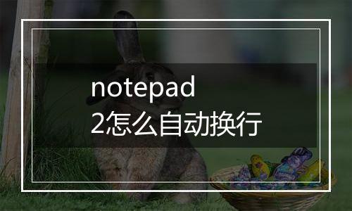 notepad2怎么自动换行
