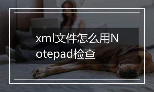 xml文件怎么用Notepad检查