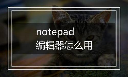 notepad编辑器怎么用