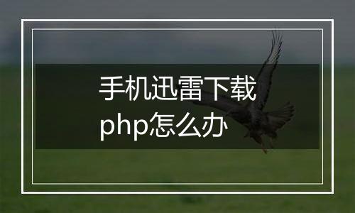 手机迅雷下载php怎么办