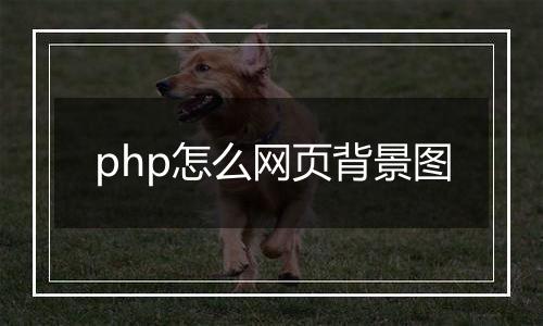 php怎么网页背景图