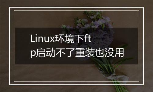 Linux环境下ftp启动不了重装也没用