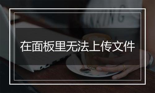 在面板里无法上传文件