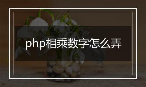php相乘数字怎么弄