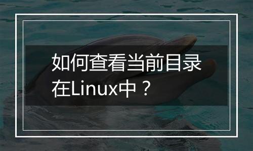 如何查看当前目录在Linux中?