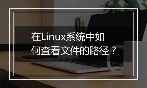 在Linux系统中如何查看文件的路径？